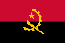 Angola Wireless regulatory services