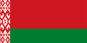 Wireless Regulatory Services-In Belarus