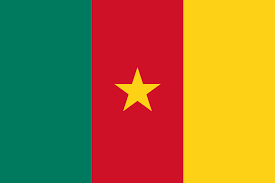 Cameroon wireless regulatory services