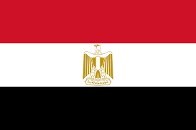 Egypt Wireless Wireless Regulatory Services