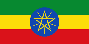 Wireless Regulatory Services in Ethiopia