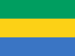 Gabon Wireless Regulatory Services