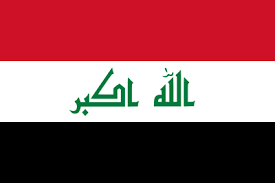 Wireless Regulatory Services In Iraq