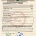 Wireless Regulatory Services Iraq