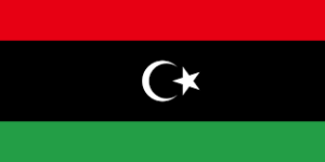 Libya Wireless Regulatory Services