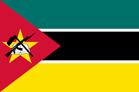 Mozambique Wireless Regulatory Services