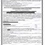 Russia Wireless Regulatory Services