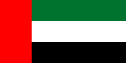 UAE Wireless Regulatory Services