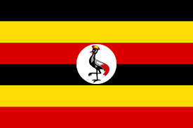 Uganda Wireless Regulatory Services