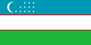 Uzbekistan Wireless Regulatory Services