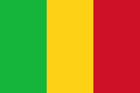 Mali Regulatory Type Approval