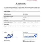 Bahrain Wireless Regulatory Services