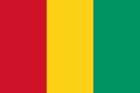 Guinea Wireless Regulatory Services