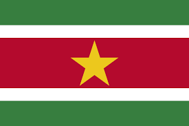 Suriname Wireless Regulatory Services