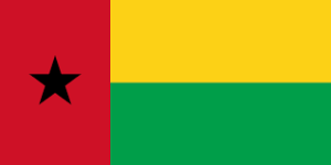 Guinea Bissau Wireless Regulatory Services