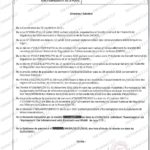 Niger Wireless Regulatory Services